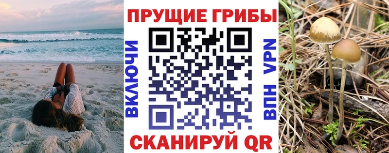 мориарти наркотические препараты  где купить наркоту  Октябрьск  Псилоцибиновые грибы Psilocybine cubensis 